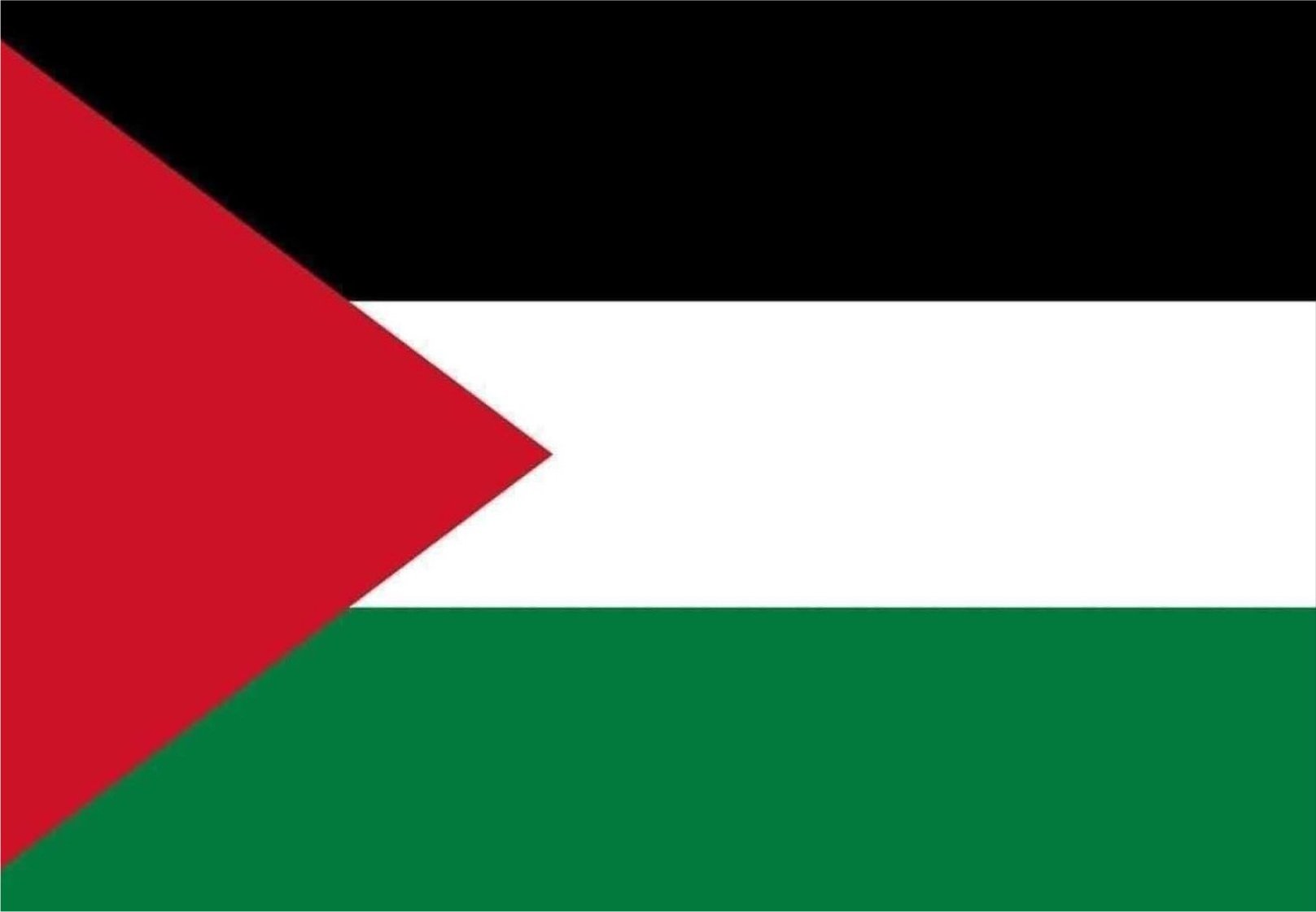 BANDIERA PALESTINESE